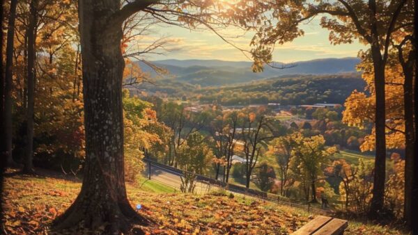 Lynchburg